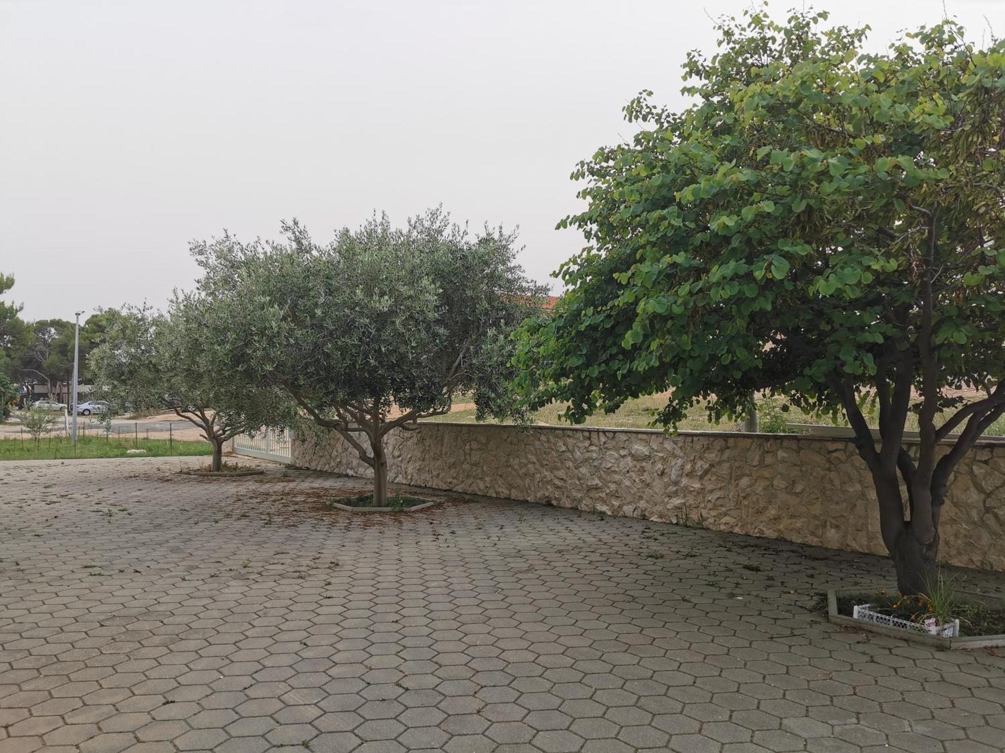 Apartments Riva Povljana Exterior photo